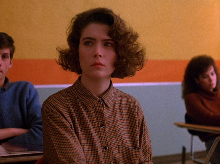 105 Creepy and Bizarre Twin Peaks Quotes: Donna Hayward